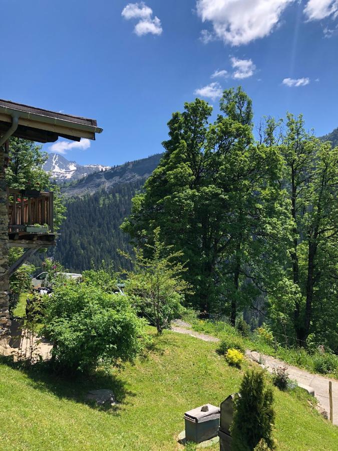 Bed and Breakfast Le Pika Hauteluce Exterior foto